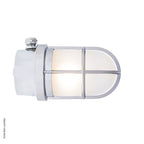 Ceiling / Wall Light With Guard 2296 by Foresti & Suardi
