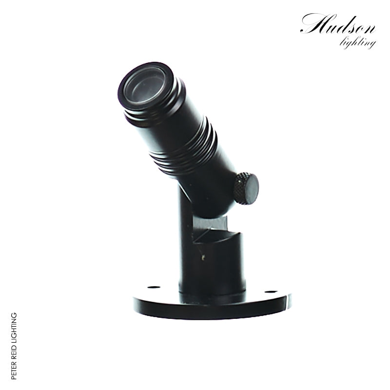 Hudson Aqua Pond Spot Light