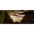 Hudson Large Path Marker Light