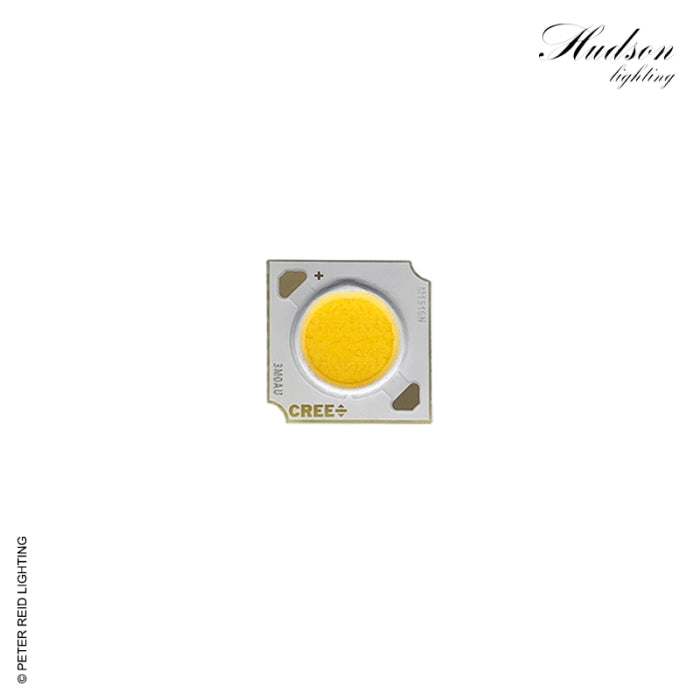 Hudson High Power Spike Light Replacement 12 Watt LED