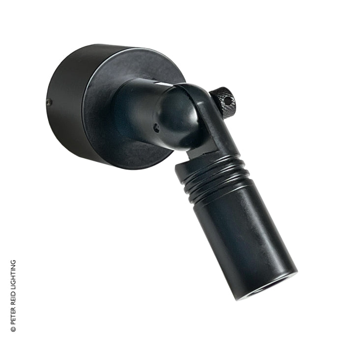 Hudson Single Wall Spot Light