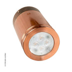 Hunza Lighting Down Light Ceiling Mount GU10 (240v)