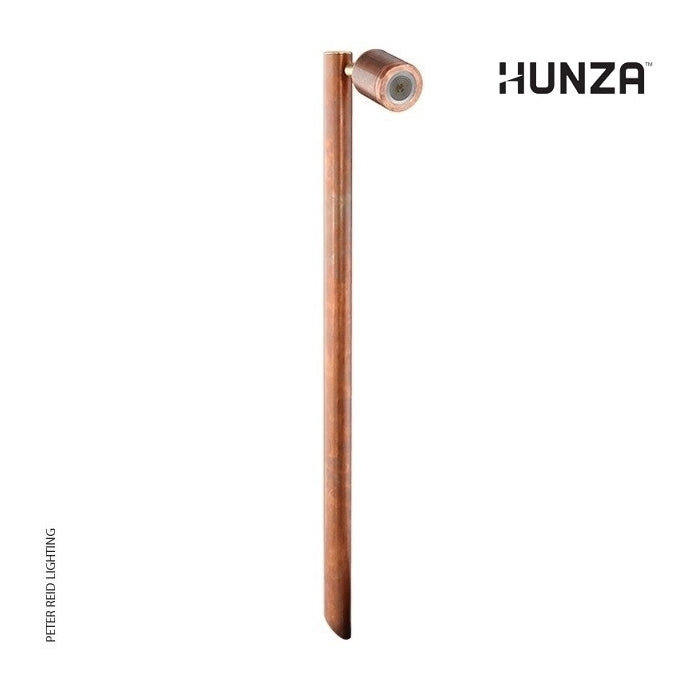 Hunza Lighting Single Pole Light PURE LED