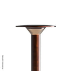 LuxR Lighting Modux 1 Halo Pole Light Extended